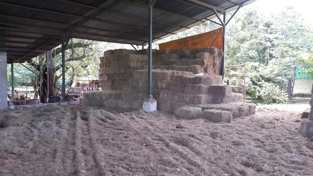 Rancho Curubande Lodge ليبيريا المظهر الخارجي الصورة