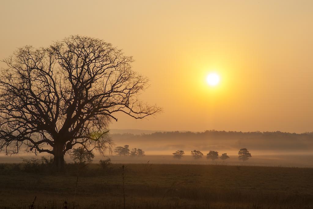 Rancho Curubande Lodge ليبيريا المظهر الخارجي الصورة