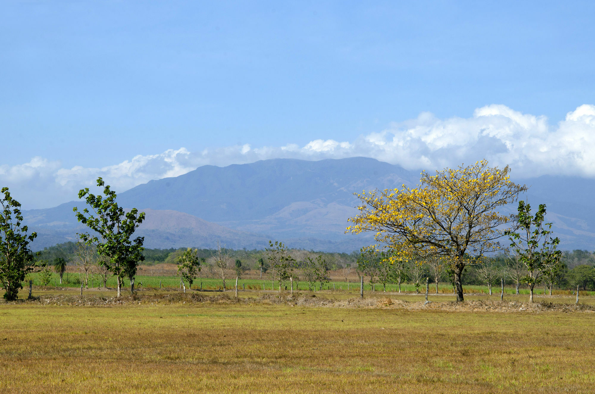 Rancho Curubande Lodge ليبيريا المظهر الخارجي الصورة